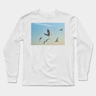 Larus californicus Long Sleeve T-Shirt